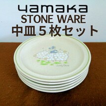 yamaka(ヤマカ) ストーンウェア 中皿 ５枚セット_画像1