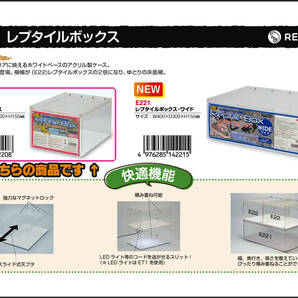 @ レプタイルボックス 三晃商会(SANKO) レプティワイルド(REPTI WILD) 爬虫類用アクリル飼育ケース 新品 消費税0円 @の画像10