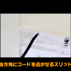 α レプタイルボックス 三晃商会(SANKO) レプティワイルド(REPTI WILD) 爬虫類用アクリル飼育ケース 新品 消費税0円 αの画像6