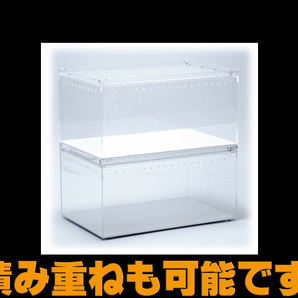 @ レプタイルボックス 三晃商会(SANKO) レプティワイルド(REPTI WILD) 爬虫類用アクリル飼育ケース 新品 消費税0円 @の画像8