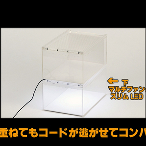 @ レプタイルボックス 三晃商会(SANKO) レプティワイルド(REPTI WILD) 爬虫類用アクリル飼育ケース 新品 消費税0円 @の画像5