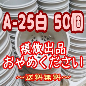 ◆送料無料◆プラ鉢【A-25】50個 スリット鉢 丸 プレステラ 多肉植物の画像1