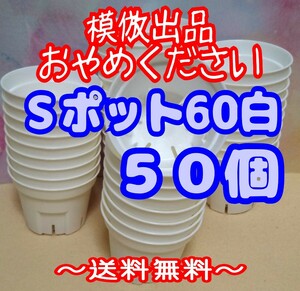 ◆送料無料◆Sポット60 白 50個 スリット鉢 プラ鉢 2号 6cm プレステラ 丸型 多肉植物