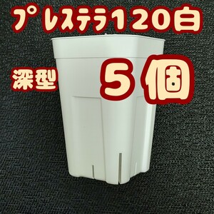 ◆送料無料◆プレステラ深鉢120 白 5個 プラ鉢 スリット鉢 多肉植物