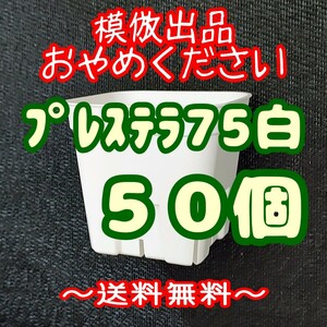 ◆送料無料◆《プレステラ75》白50個 プラ鉢スリット鉢 多肉植物 植木鉢