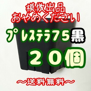 ◆送料無料◆《プレステラ75》黒20個 プラ鉢スリット鉢 多肉植物 植木鉢の画像1