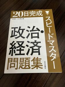 政治経済　問題集　 山川出版社