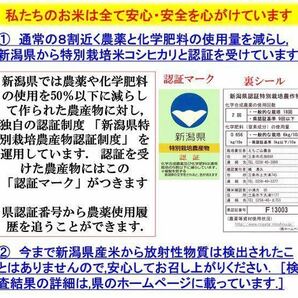 減農薬 新潟こしひかり玄米粉900g 令和5年 新潟県三条市しただ産 新潟県認証 特別栽培米コシヒカリ玄米100% グルテンフリー 送料無料の画像3