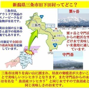 令和5年産 減農薬 新潟コシヒカリ玄米10kg+ミルキークイーン玄米10kg 新潟県三条市旧しただ村産 こしひかりとミルキー共に100%本物の画像6