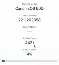 未使用級ショット数 4,421回 美品 キャノン Canon EOS 60D Wレンズ セット 手ぶれ補正標準レンズ&300mm超望レンズ 付属品完備 SDカード付き_画像10