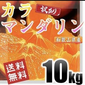 カラマンダリン 訳あり 10kg 和歌山県産 送料無料(北海道、沖縄県、東北地方除く)