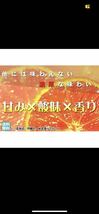 カラマンダリン 訳あり 10kg 和歌山県産 送料無料(北海道、沖縄県、東北地方除く)_画像3