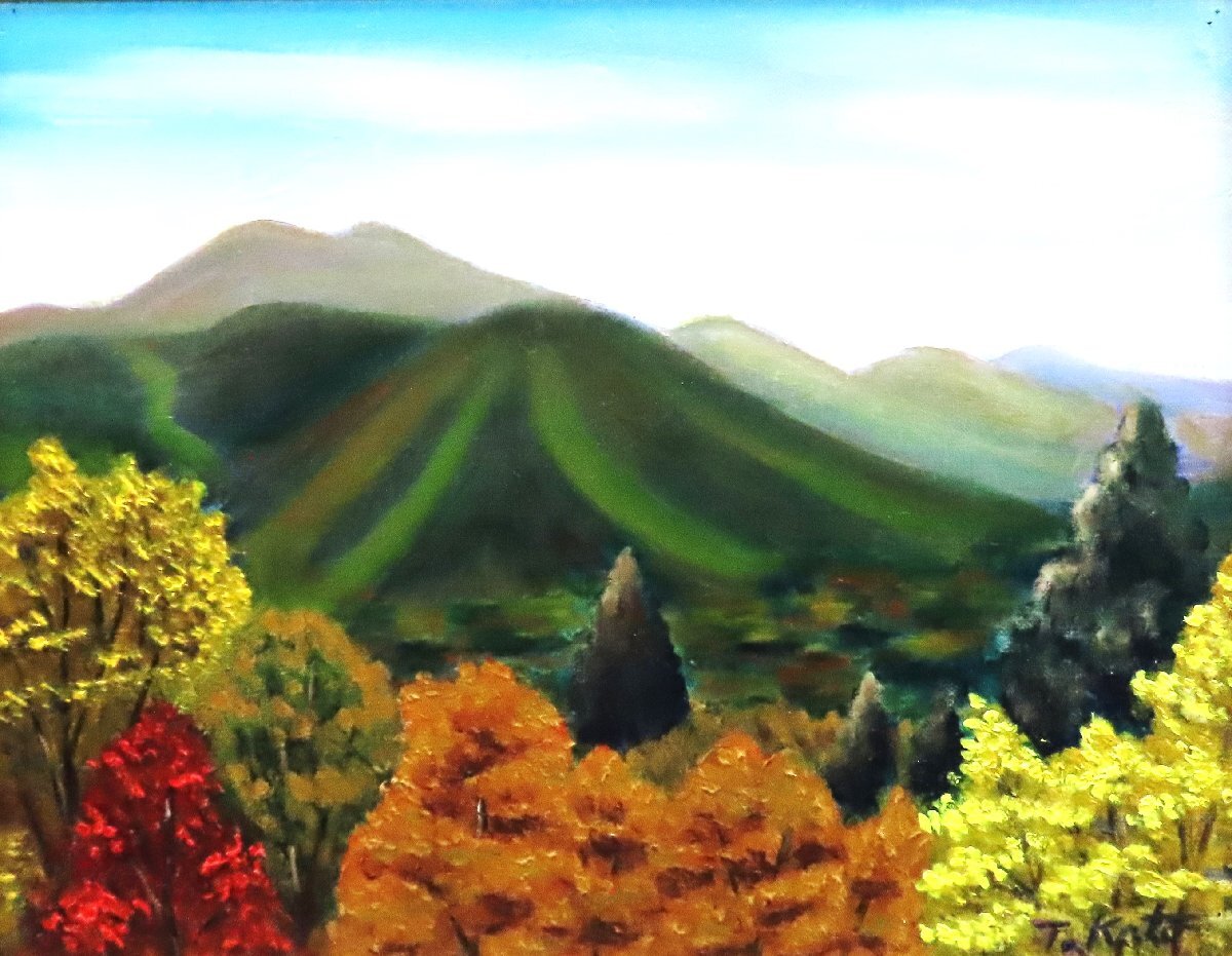 Künstler unbekannt. Westliches Gemälde von Togakushi Nr. 8 mit Rahmen [53 Jahre Erfahrung und Vertrauen von Seiko Gallery], Malerei, Ölgemälde, Natur, Landschaftsmalerei