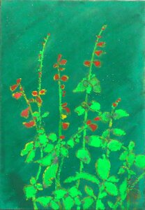 Art hand Auction 花･草木を豊な感性で描き続けています 人気日本画家作品 鈴木孝一 SM｢サルビア｣額付【創業53年の実績と信頼･正光画廊】, 絵画, 日本画, 花鳥, 鳥獣