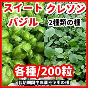 スイートバジル＆クレソンの種2種類セット★栽培期間中農薬不使用の種