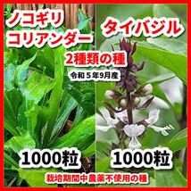 ノコギリコリアンダー＆タイバジルの2種類セット【各種1000粒】令和5年9月産_画像1