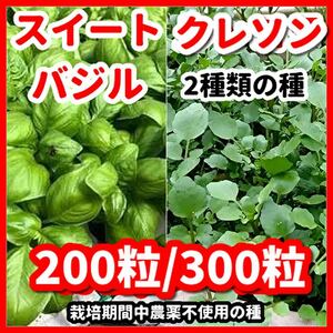 スイートバジル＆クレソンの種【2種類セット】栽培期間中農薬不使用の種令和5年9月