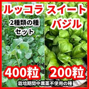 スイートバジル＆ルッコラの種【2種類セット】栽培期間中農薬不使用の種令和5年9月