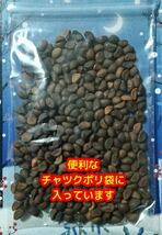 空芯菜種22g【450粒前後】農薬:栽培期間中不使用の種★ベトナムの栽培方法記載_画像9