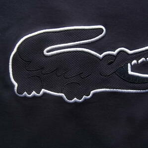 LACOSTE  ラコステ デカラコ Tシャツ サイズ 2 ネイビーの画像3