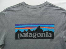 patagonia 　パタゴニア　ポケット付き　前後プリント　Tシャツ　サイズ M 杢グレー_画像4