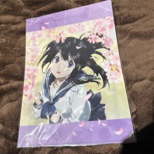 未開封品　10周年　氷菓 A4 クリアファイル（桜とえる） / 京都アニメーション　かかなあ