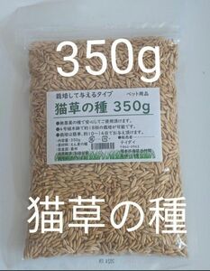 【お手頃サイズ】猫草の種 350g 食べられる草の種 猫草 犬 猫 ハムスター 小動物にもおすすめ