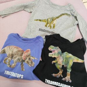シュライヒ　恐竜　Tシャツ　SET