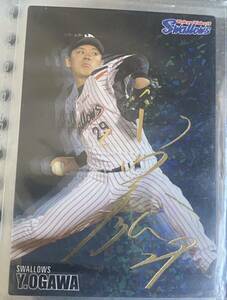 2016 カルビー プロ野球チップス サインカード 東京ヤクルトスワローズ 小川泰弘