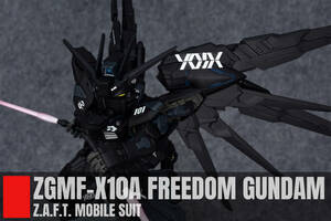 【MGSD 1/100 ZGMF-X10A フリーダムガンダム Freedom Gundam 塗装完成品 機動戦士ガンダムSEED】Aone-034 -80