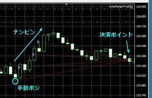 [1] MT4　EA　手動で取ったポジションに対して、ナンピン、マーチン、トレールを行うEA