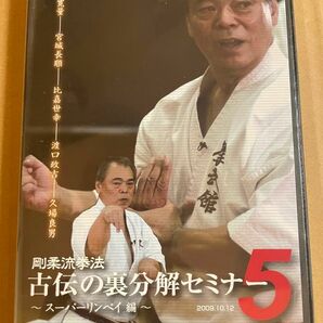 DVD 剛柔流拳法 古伝の裏分解セミナー5 スーパーリンペイ編　　空手　武術　武道　