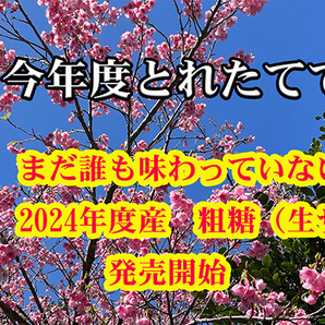 粗糖（生ザラメ）500gx20袋 やさしい味でミネラル豊富（2024年度産）（プレゼント付 喜界島の農家から発送）- 落札累計 370 道の島農園の画像2