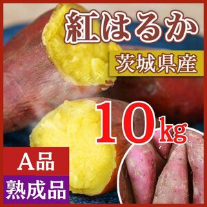 【熟成品】 10kg さつまいも 紅はるか 茨城県産 産地直送 甘い