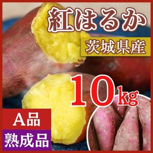 【熟成品】 10kg さつまいも 紅はるか 茨城県産 産地直送 甘いの画像1
