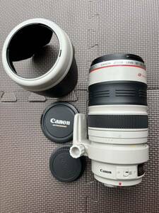 Canon ZOOM LENS EF 35-350mm 1:3.5-5.6 ULTRASONIC オートフォーカスレンズ 中古品