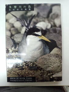 お2-f04【匿名配送・送料込】多摩川の鳥　田村栄写真集　BIRDS　OF　RIVER　TAMA　カバー小破れ・シミあり