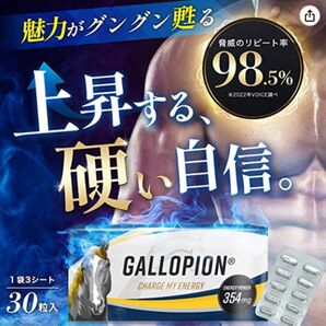GALLOPION (ギャロピオン)シトルリン、 アルギニン 亜鉛 30日用 30粒 354㎎ 日本製 GMP認定工場
