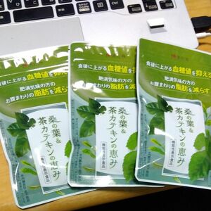 最安値！桑の葉 茶カテキン 1袋 120粒 国産お腹の脂肪を減らす 血糖値 内臓脂肪 サプリ 3袋セット