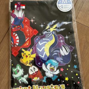 ポケモン巾着