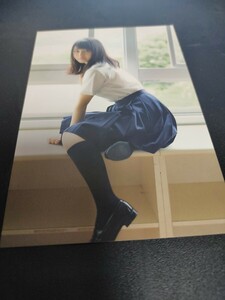 長濱ねる　ひらがなけやき　欅坂46日向坂46　写真集封入特典　ポストカード　サインコメント入　非売品