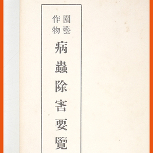 ※希少資料※　大正十年　【 園芸作物　病蟲除害要覧 】　石川龍太郎著　農業　園芸　成美堂書店