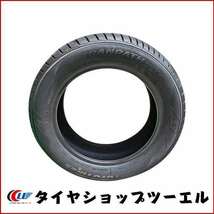 トーヨー 195/60R16 89H TRANPATH mp7 新品 夏タイヤ 2本セット 2024年製「在庫あり」_画像5