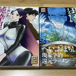 講談社まんが学術文庫　純粋理性批判/現象学の理念