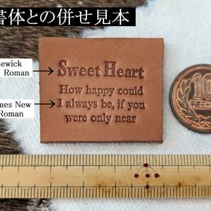 10pt Times New Roman ダブル・フルセット 新聞用書体 メタルスタンプ 活字 ミニチュア革工芸 の画像5