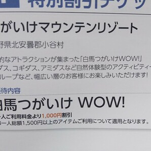 送料\63★特別割引券2枚 各5名迄★白馬岩岳MTB PARK ダウンヒルコース／クロスカントリーXCコース 1日券50%OFF☆白馬つがいけWOW!1000円OFFの画像3