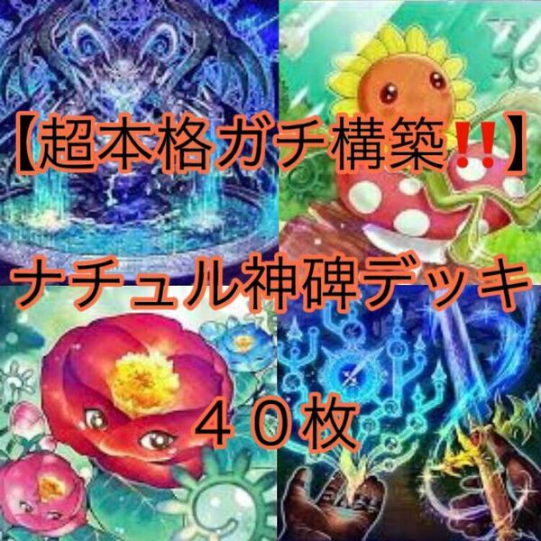 遊戯王【超本格ガチ構築！！】ナチュル神碑デッキ４０枚