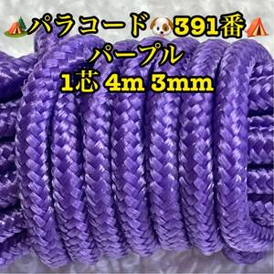 ☆★パラコード★☆１芯 ４m ３mm☆★３９１番★手芸とアウトドアなど用★