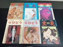 C29 愛苑 月刊 りびどう 6点まとめ 昭和45年1月15日 昭和45年4月15日 昭和45年5月15日　昭和45年6月15日 昭和45年8月15日 昭和45年9月15日_画像1