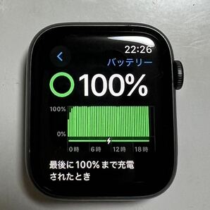 Apple Watch Series5 44mm aluminum GPS LTEの画像4